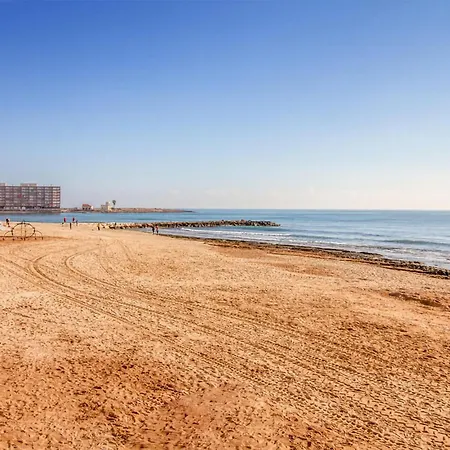 Amazing In Appartement *